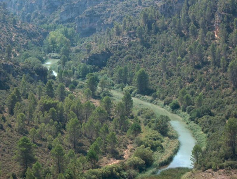 Parajes Del Jucar Casas de Benítez Exterior foto